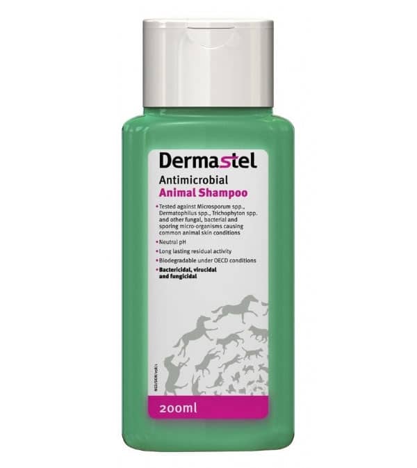 Dermastel-Animal-Shampoo