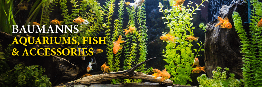 aquariums accessories