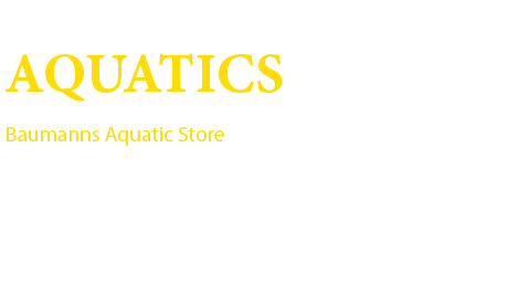 aquariums & accessories