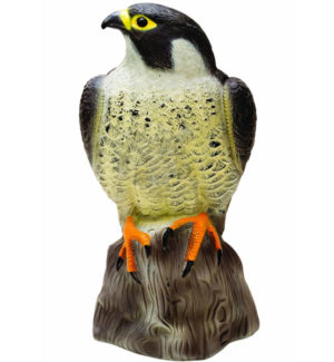 replica-falcon-bird-scarer