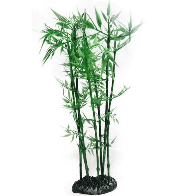 Betta-45cm-Bamboo