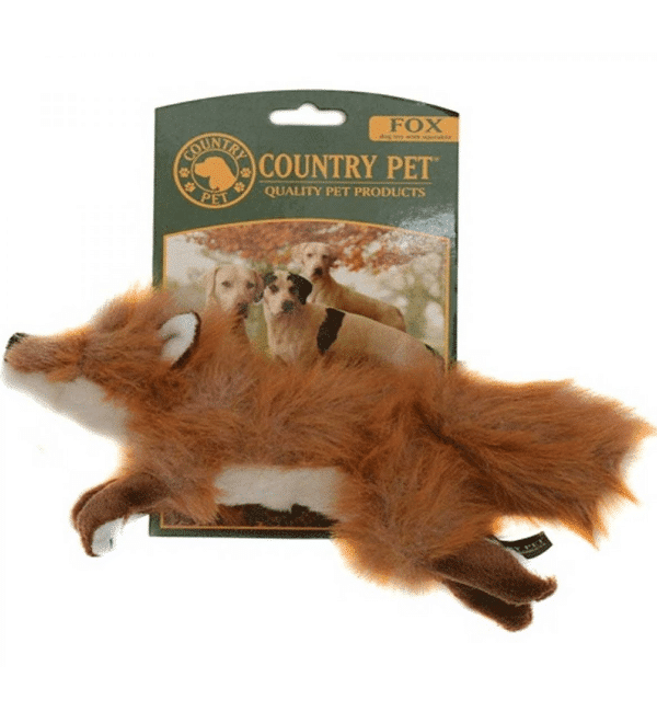 country-pet-fox