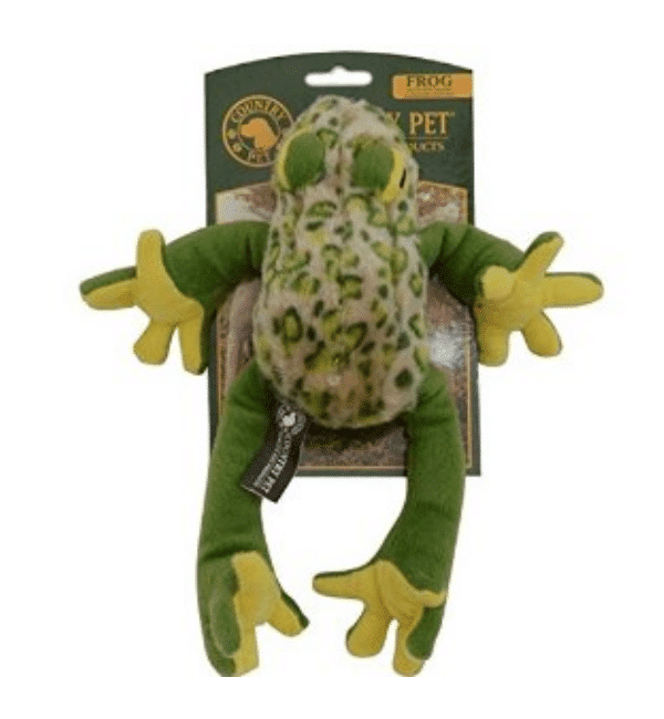 country-pet-frog