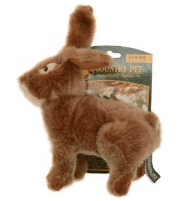 country-pet-hare