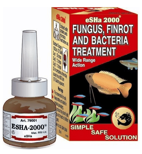 fungus-finrot-and-bacteria-treatment