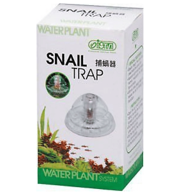 snail-trap
