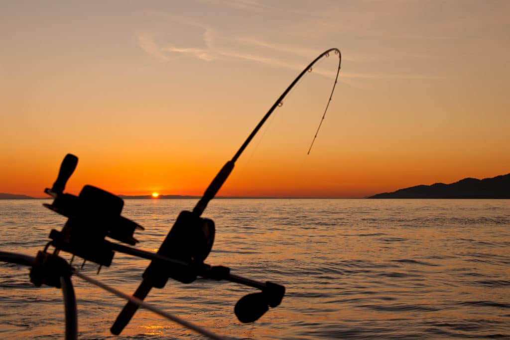 Person Rigging Rod Down Rigging Fishing Rod At Sunset - Baumanns Of Stillorgan