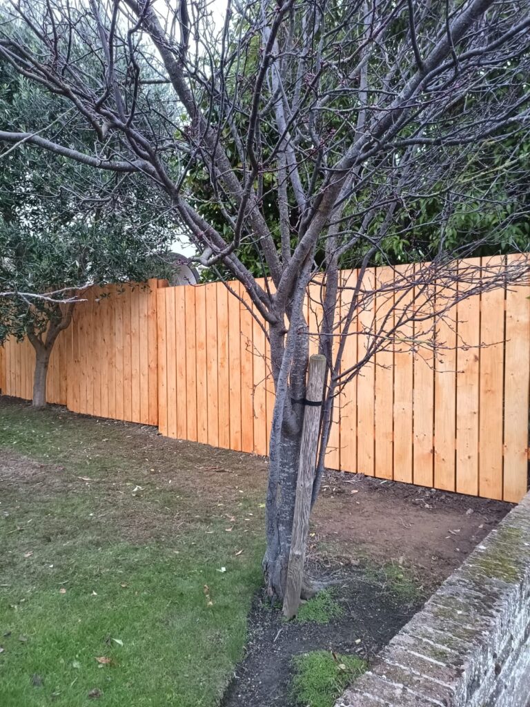 Custom Garden Fencing